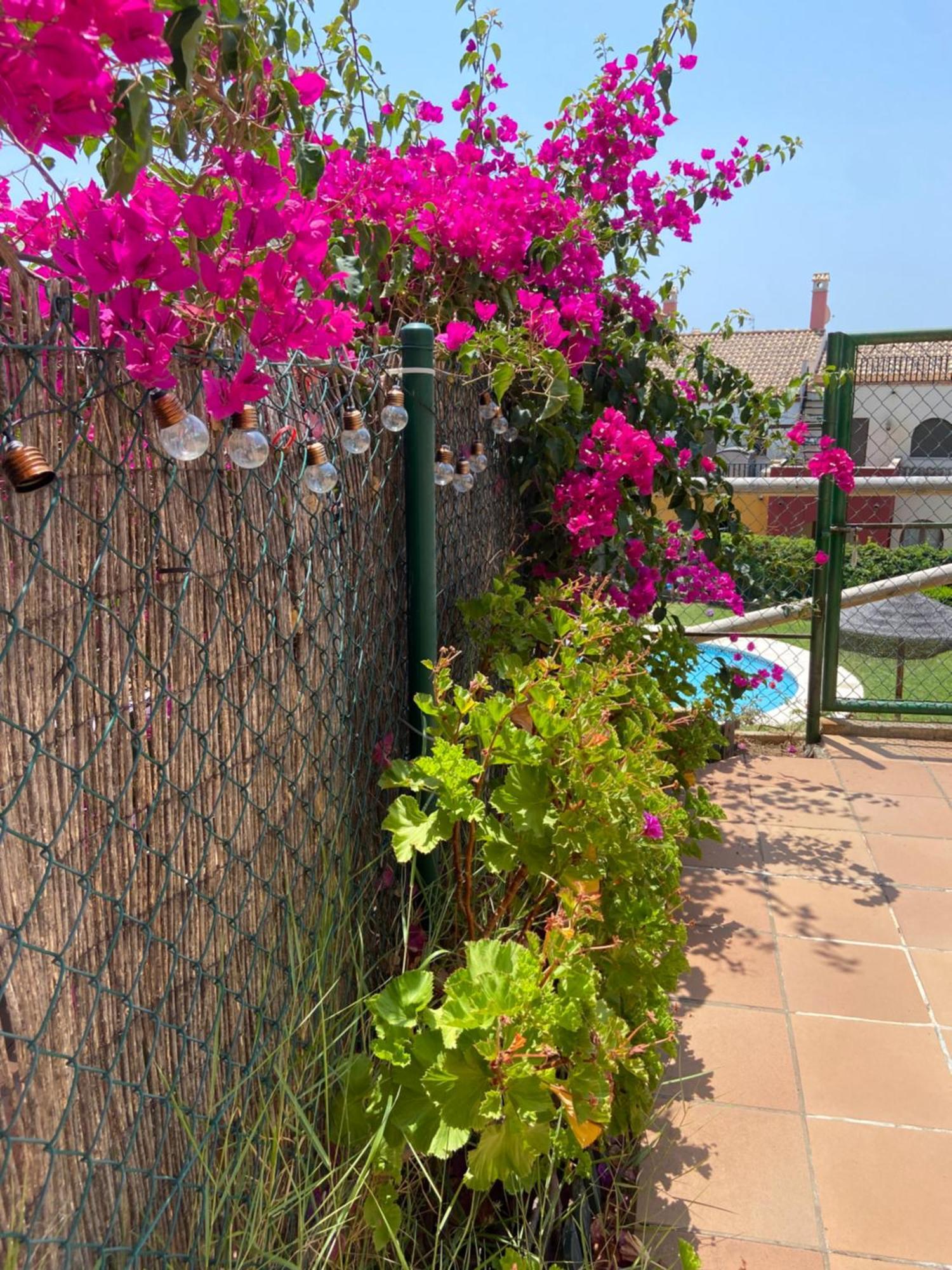Appartement Adosado Con Vistas, Relajate Y Disfruta Ayamonte